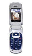 M300