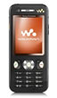 W890i